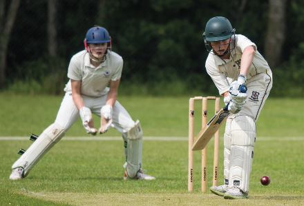 cricket